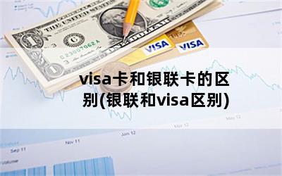 visa(visa)