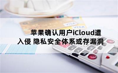 ƻȷûiCloud ˽ȫϵ©