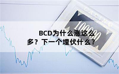 BCDΪʲôôࣿһʲô