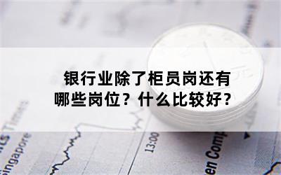银行业除了柜员岗还有哪些岗位？什么比较好？