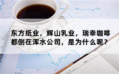 东方纸业，辉山乳业，瑞幸咖啡都倒在浑水公司，是为什么呢？