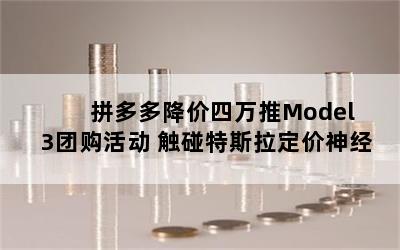 ƴཱུModel 3Ź ˹