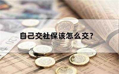 自己交社保该怎么交？