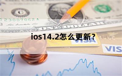 ios14.2ô£