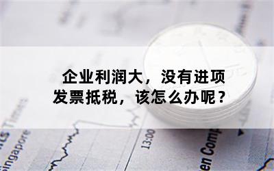 企业利润大，没有进项发票抵税，该怎么办呢？