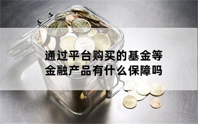 通过平台购买的基金等金融产品有什么保障吗