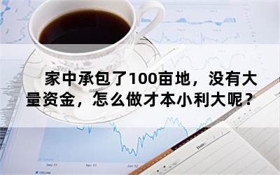 家中承包了100亩地，没有大量资金，怎么做才本小利大呢？