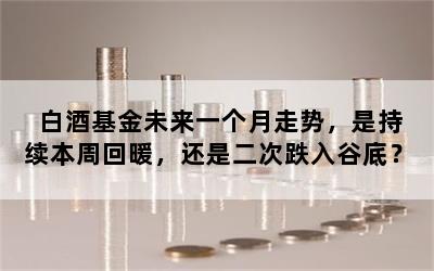 白酒基金未来一个月走势，是持续本周回暖，还是二次跌入谷底？