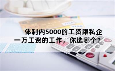 体制内5000的工资跟私企一万工资的工作，你选哪个？