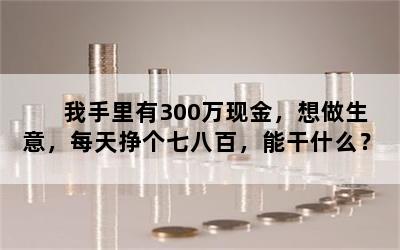 我手里有300万现金，想做生意，每天挣个七八百，能干什么？