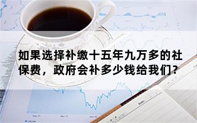 如果选择补缴十五年九万多的社保费，政府会补多少钱给我们？