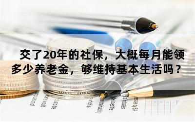 交了20年的社保，大概每月能领多少养老金，够维持基本生活吗？