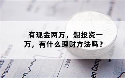 有现金两万，想投资一万，有什么理财方法吗？