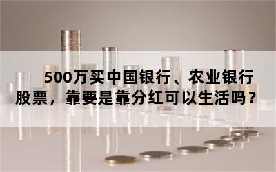 500万买中国银行、农业银行股票，靠要是靠分红可以生活吗？