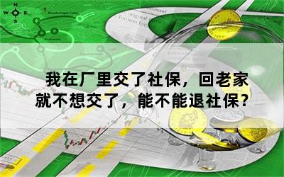 我在厂里交了社保，回老家就不想交了，能不能退社保？