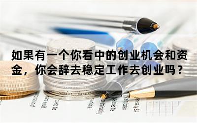 如果有一个你看中的创业机会和资金，你会辞去稳定工作去创业吗？为什么？