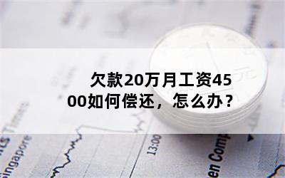 欠款20万月工资4500如何偿还，怎么办？