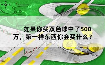 如果你买双色球中了500万，第一样东西你会买什么？