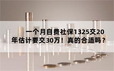 一个月自费社保1325交20年估计要交30万！真的合适吗？