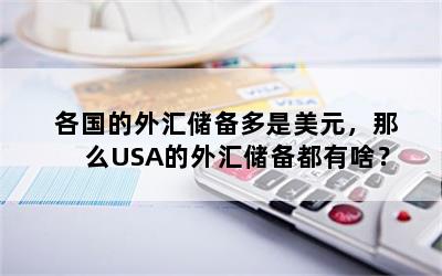 各国的外汇储备多是美元，那么USA的外汇储备都有啥？