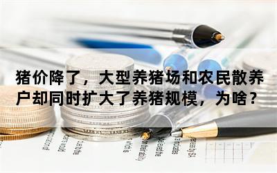 猪价降了，大型养猪场和农民散养户却同时扩大了养猪规模，为啥？