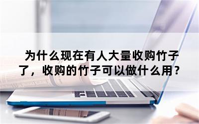 为什么现在有人大量收购竹子了，收购的竹子可以做什么用？