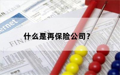 什么是再保险公司？