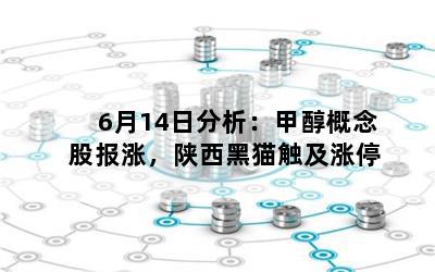 6月14日分析：甲醇概念股报涨，陕西黑猫触及涨停