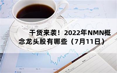 干货来袭！2022年NMN概念龙头股有哪些（7月11日）