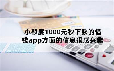 小额度1000元秒下款的借钱app方面的信息很感兴趣