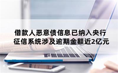 借款人恶意债信息已纳入央行征信系统涉及逾期金额近2亿元