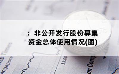 ：非公开发行股份募集资金总体使用情况(图)