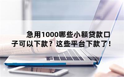 急用1000哪些小额贷款口子可以下款？这些平台下款了！