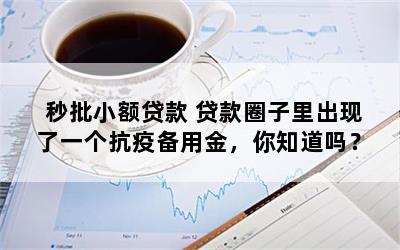 秒批小额贷款 贷款圈子里出现了一个抗疫备用金，你知道吗？