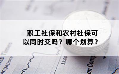 职工社保和农村社保可以同时交吗？哪个划算？