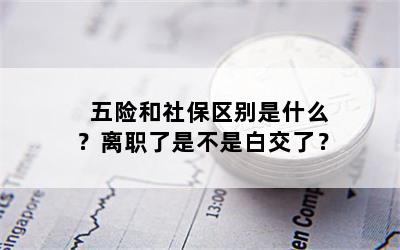 五险和社保区别是什么？离职了是不是白交了？