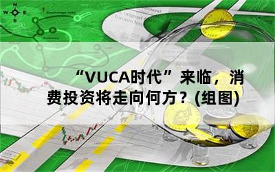 VUCAʱ٣Ͷʽη(ͼ)