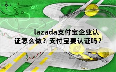 lazada֧ҵ֤ô֧Ҫ֤