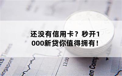 还没有信用卡？秒开1000新贷你值得拥有！