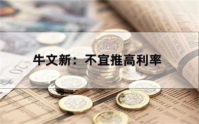 牛文新：不宜推高利率