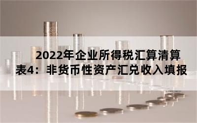 2022年企业所得税汇算清算表4：非货币性资产汇兑收入填报