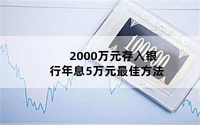 2000万元存入银行年息5万元最佳方法