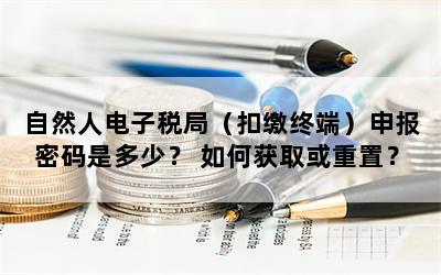 自然人电子税局（扣缴终端）申报密码是多少？ 如何获取或重置？