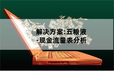 解决方案:五粮液-现金流量表分析