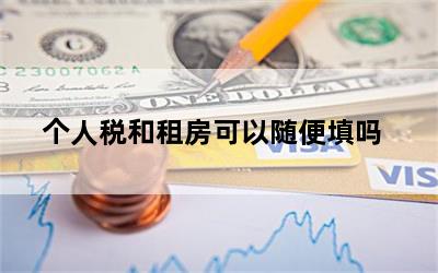 个人税和租房可以随便填吗