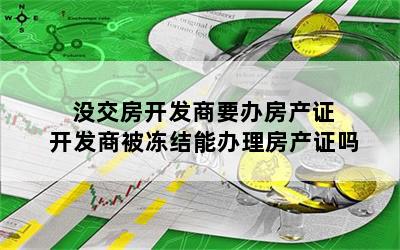 没交房开发商要办房产证 开发商被冻结能办理房产证吗