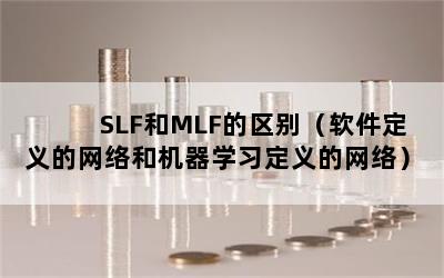 SLFMLFͻѧϰ磩