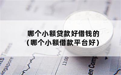 哪个小额贷款好借钱的（哪个小额借款平台好）
