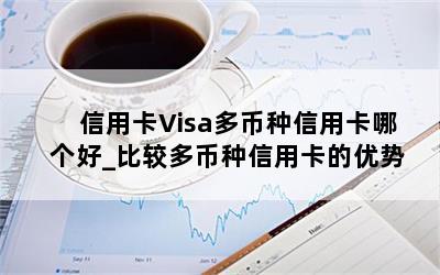 信用卡Visa多币种信用卡哪个好_比较多币种信用卡的优势