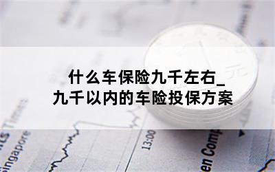 什么车保险九千左右_九千以内的车险投保方案